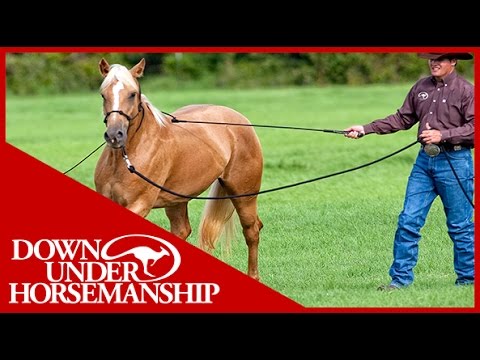 Clinton Anderson: Training a Rescue Horse, Part 7 - Downunder Horsemanship
