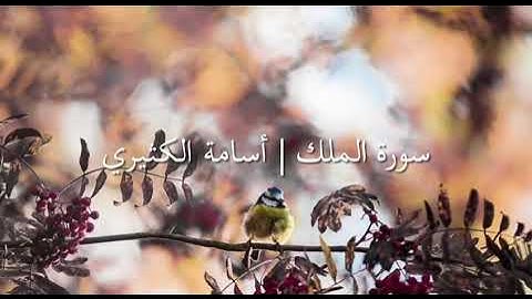 سورة الملك - أسامة الكثيري