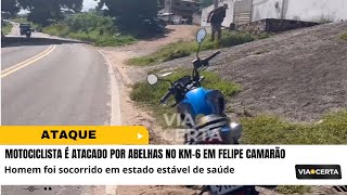 AGORA • Motociclista é atacado por abelhas no KM-6 em Felipe Camarão na zona oeste de Natal