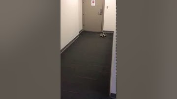 Wall Following Robot using PID controller - test