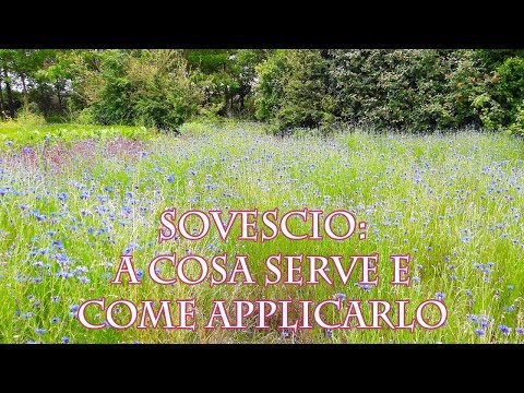 Video: Come si può prevenire l'erosione del foglio?