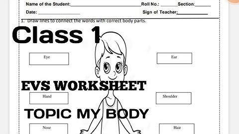EVS WORKSHEET /CLASS 1 /TOPIC MY BODY/ ALL CYCLE TEST QUESTION ANSWER