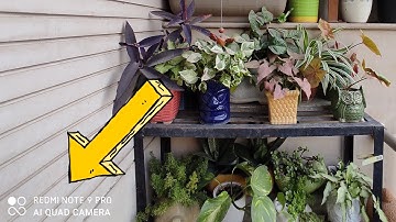 How to Add or Remove Camera Watermark in Redmi Note 9 Pro | Remove Camera Watermark Redmi Note 9 Pro