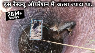 Dangerous rescue operation of a Indian Jackal animal that fell in a well from Ahmednagar district