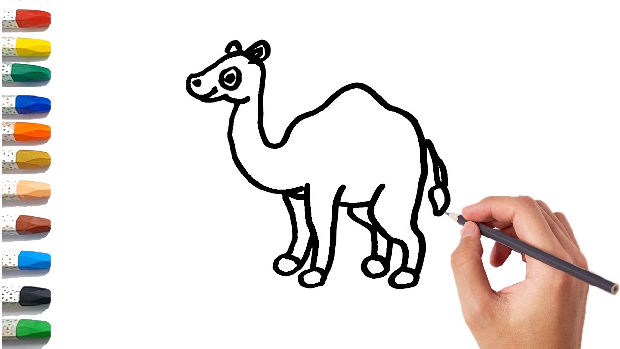 Long Neck Camel in the Desert||Drawing and Coloring