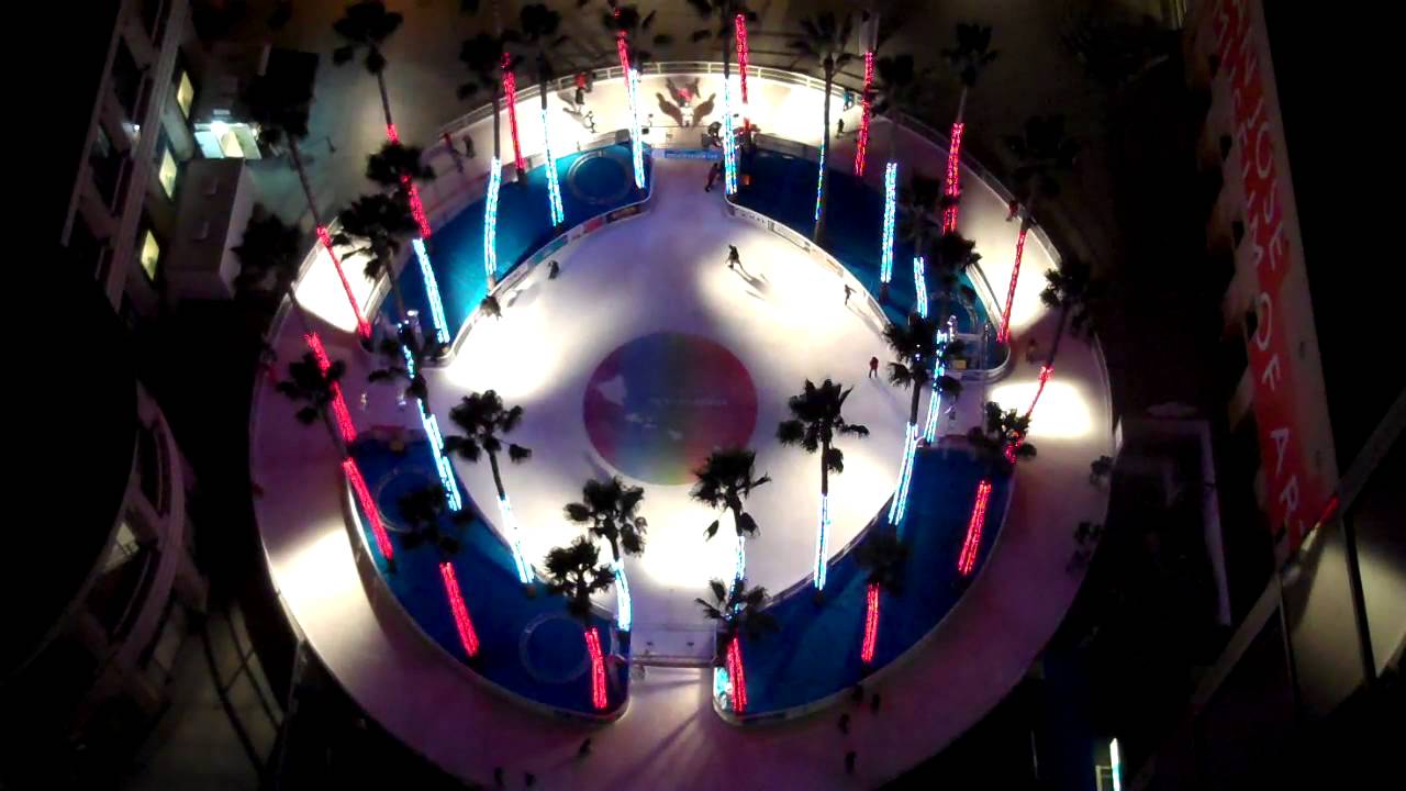 Downtown San Jose: Circle of Palms