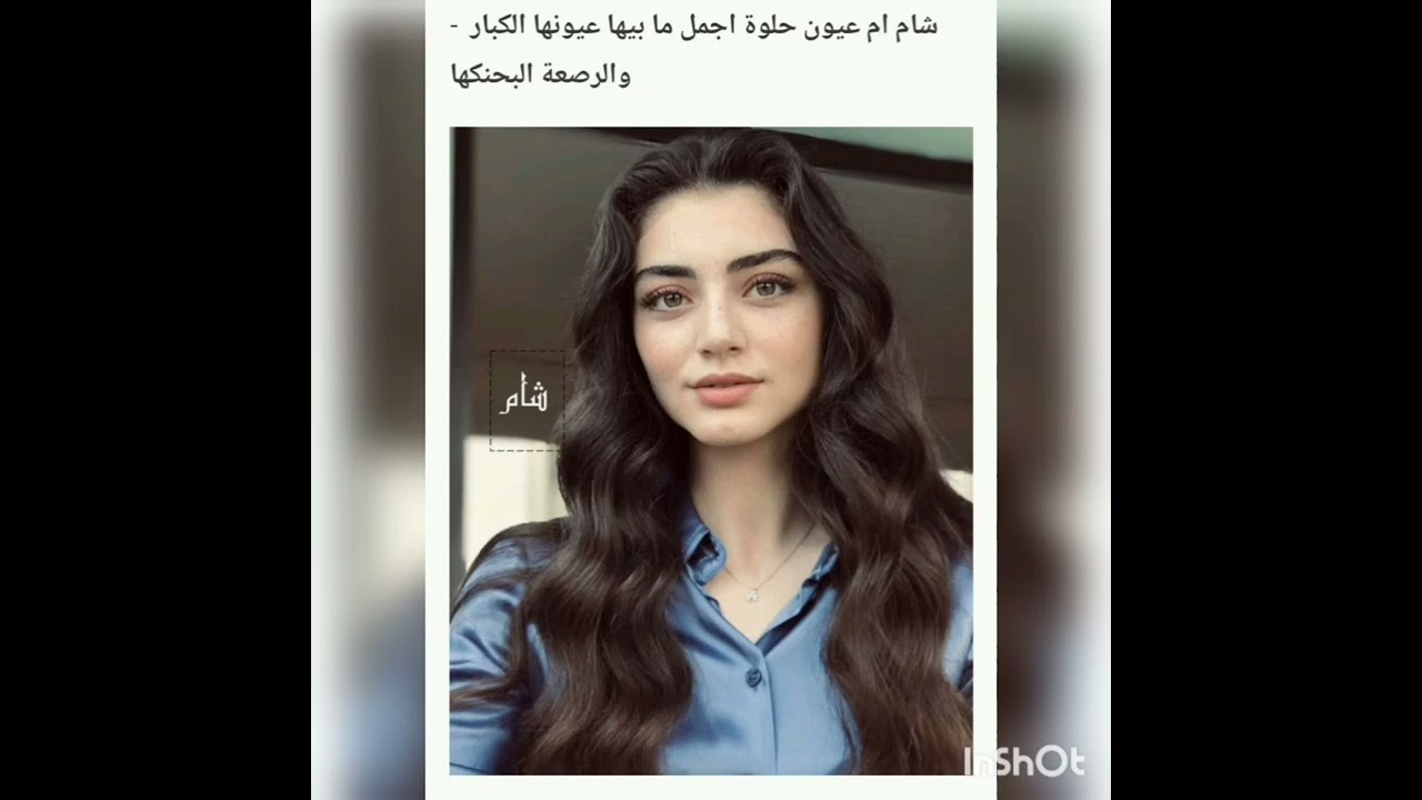 #نوائب_شام 26 💚🕊️ بصوتي 💚🕊️