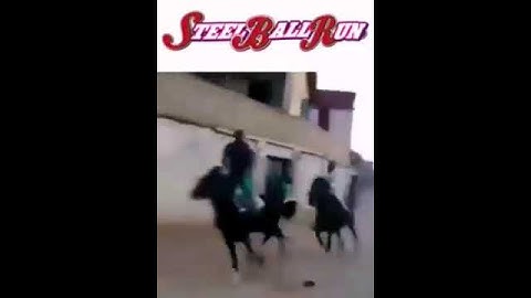 yba sbr in a nutshell