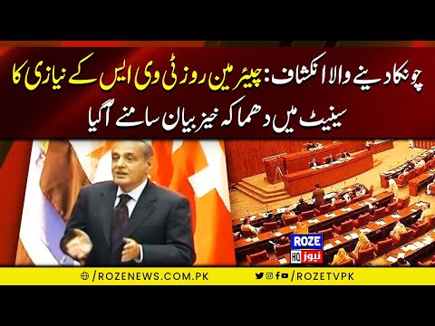 Shocking Revelation: Chairman Rose TVSK Niazi's Explosive Comments in the Senate Unveiled!
