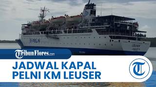 Latest KM Leuser Pelni Ship Schedule for July 2026: Surabaya, Denpasar, Baubau, Tual, Merauke