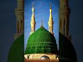#Love Mustafa Jan-e-Rehmat pa Lakho Salam🥰#