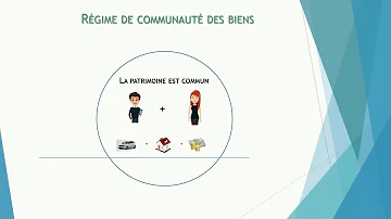 Dove si vede il regime patrimoniale?