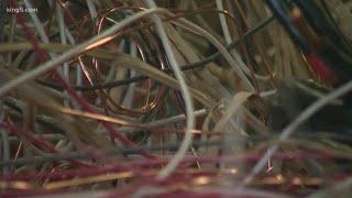 Seattle City Light struggles to keep up with copper wire thefts
