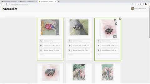 How to add observations to iNaturalist Web Version