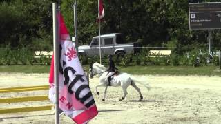 Clicksem Hikari 2014725