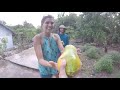 Welcome To Makatea, The Climbing Island In French Polynesia || Cold House Media Vlog 93