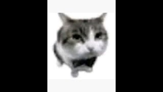 Day 0.1 Of Learning How To Animate On Blender