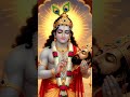 30 का स्टिकर मिलेगा दरवाजे पर लगा देना khatu shyam status #youtubeshorts #shorts #khatushyam #short