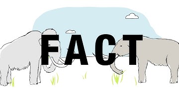 Inoculant Myths & Facts: All the Same? | BASF