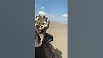 انا اهوازي والوفا نجازي 