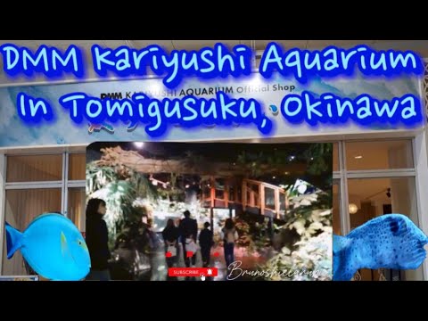 DMM Kariyushi Aquarium In Tomigusuku, Okinawa