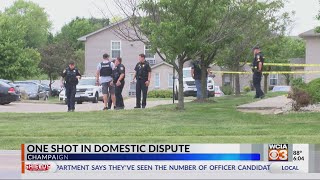 Champaign domestic battery escalates, man shot: Police