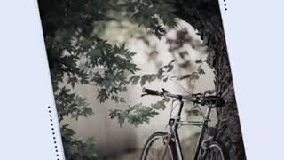 Yaara Song Whatsapp Status || Mamta Sharma || Manjul Khattar || Arishfa Khan ||