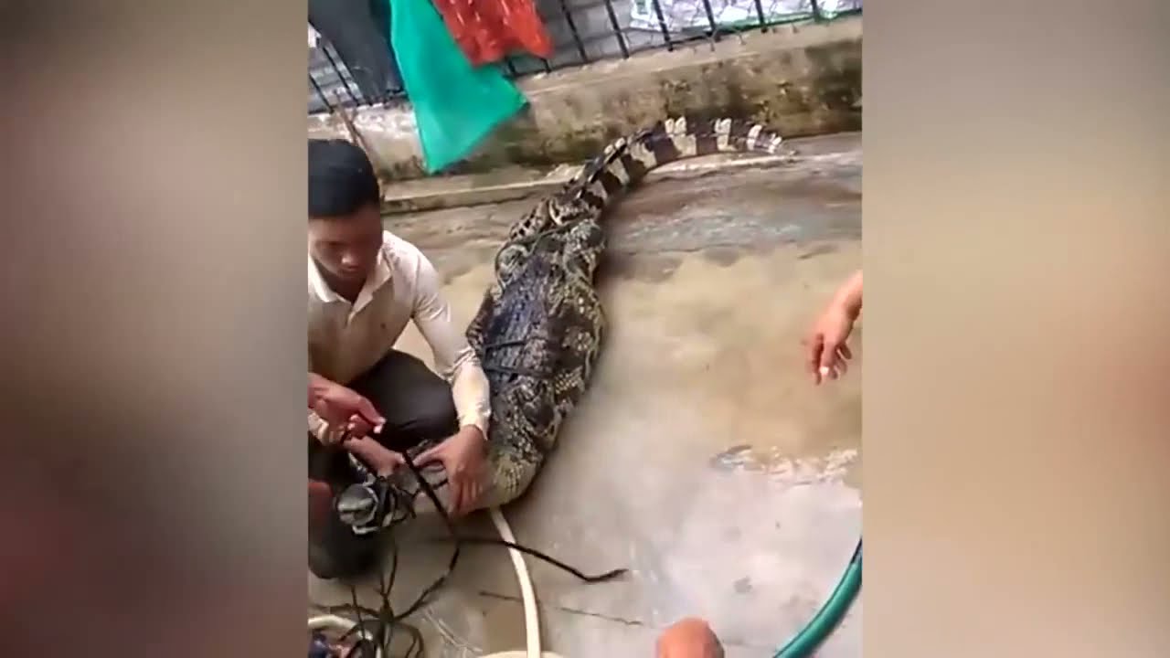 Fastest Workers||Amazing Fruit Cutting Skills||People Are Awesome||Compilation