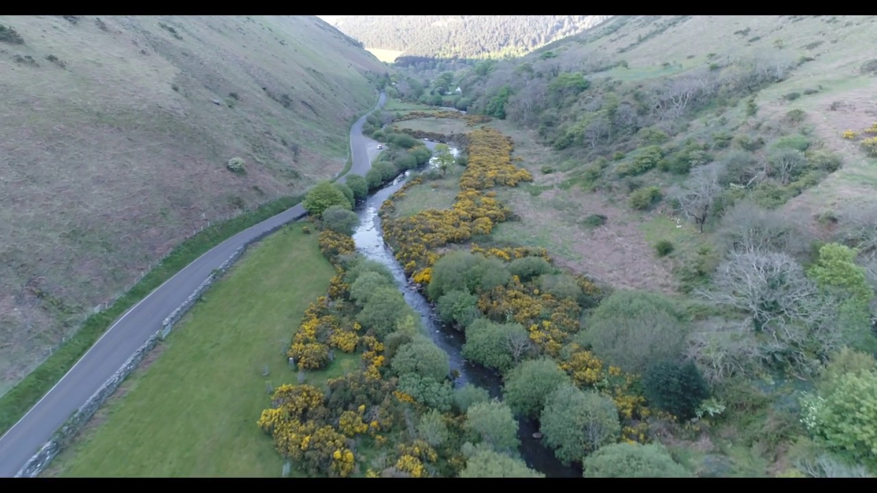dronesense Sulby Glen and Bluebells - Isle of Man