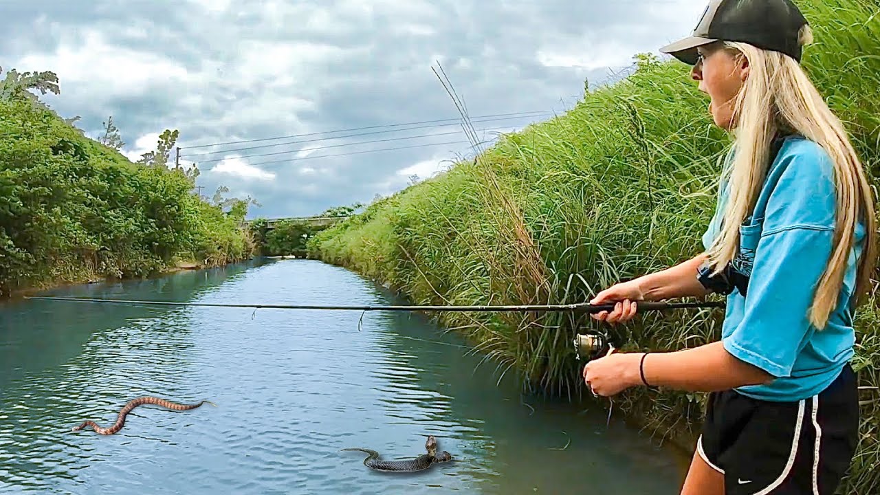 We Tried Crazy FISHING EXPERIMENTS with INTERESTING RESULTS...  (Really Weird)
