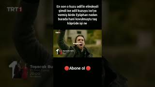 Part 2 Eyüphan Affedi̇ldi̇ Mi̇ Şacakbudeniz Şfetedü