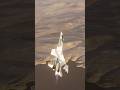 Eject, eject, eject! #dcs #dcsworld #dcsvr #gaming #gameplay #games #shortsfeed #shorts #short #reel