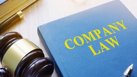 Company Law Day -1 Lecture by Prof. Rajesh Tayal