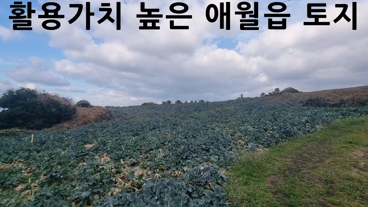 저멀리 바다가 시원하게 보이는 땅