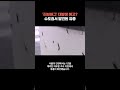 올여름 수도권에 ‘러브버그’ 대발생 예상…수도권 대다수 지역서 러브버그 유충 발견