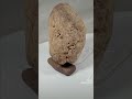 Lost Civilization blackman?  (2023) in  Md Man's head with snake on other side.