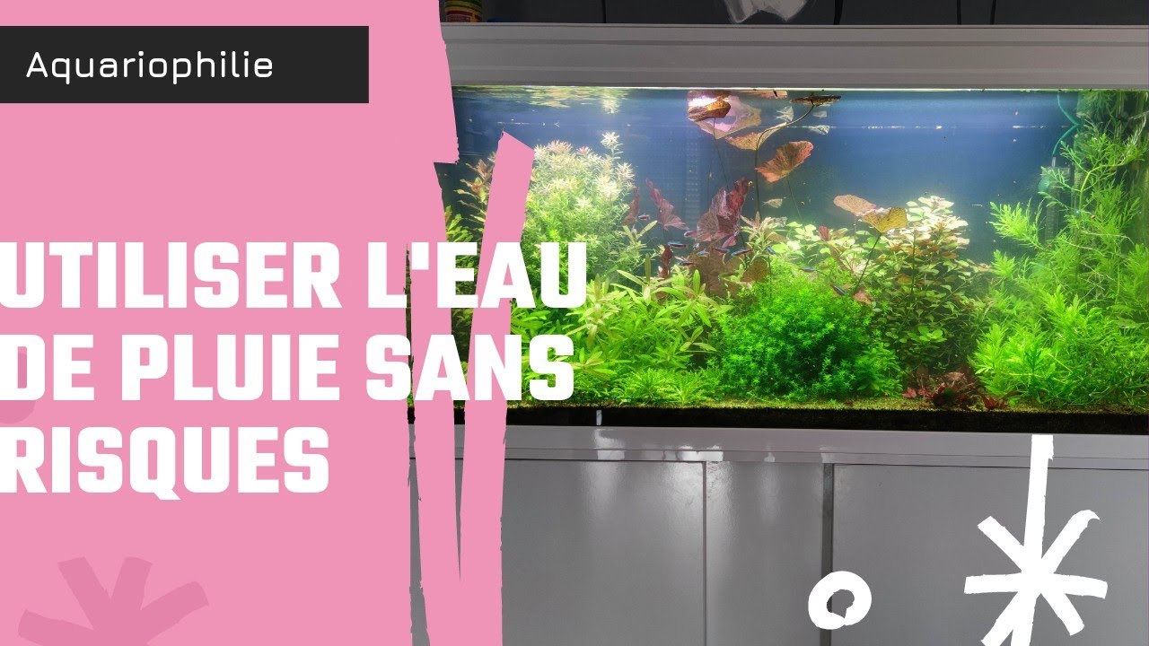 Tuto filtré son eau de pluie pour aquarium