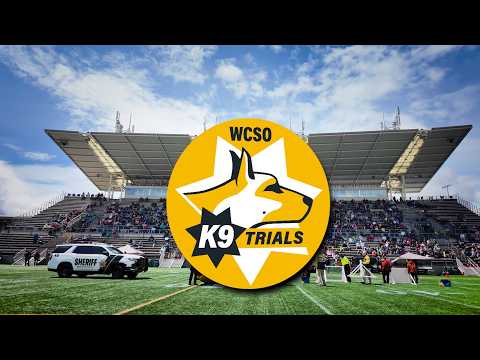 K3 Co Sheriff 70