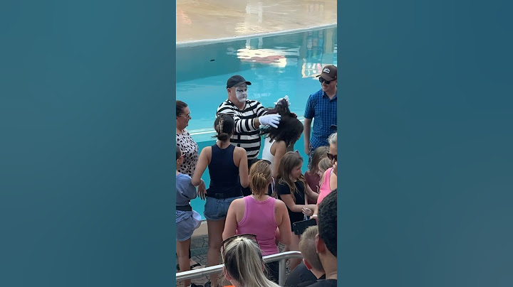 Don’t touch the hair! 🤣🥊 Tom mime Seaworld laughs #seaworldmime #funny #alwayslaughing