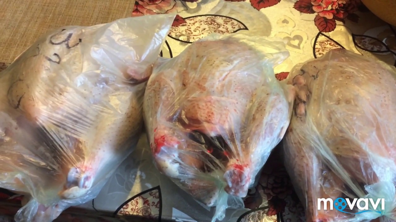 Дела в хозяйстве/убираем птицу/дезинфекция клеток sharingbox