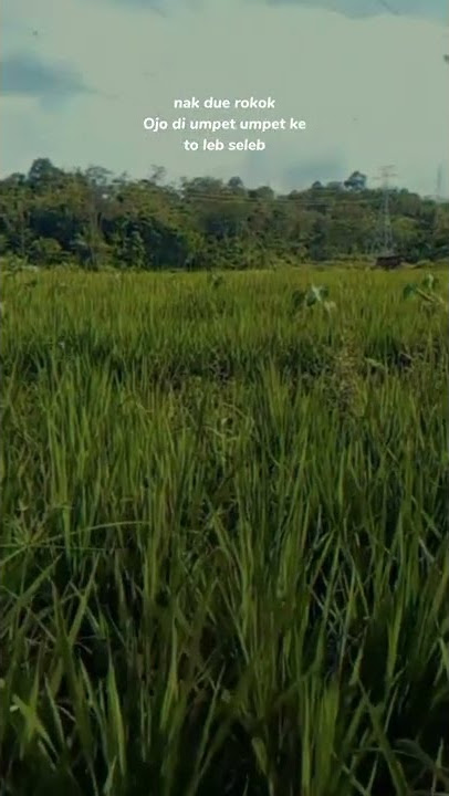 story wa 10 detik