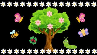 The Butterfly Tree: A Gentle Spring Baby Sensory Video with High Contrast