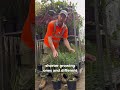 Fresh Plant Delivery from Caragh Nurseries