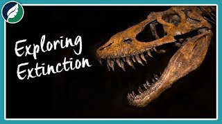 Exploring Extinction | Compilation by Nature League 1,787 views 4 years ago 37 minutes