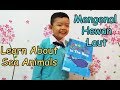 Learn about see animals - belajar mengenal hewan laut