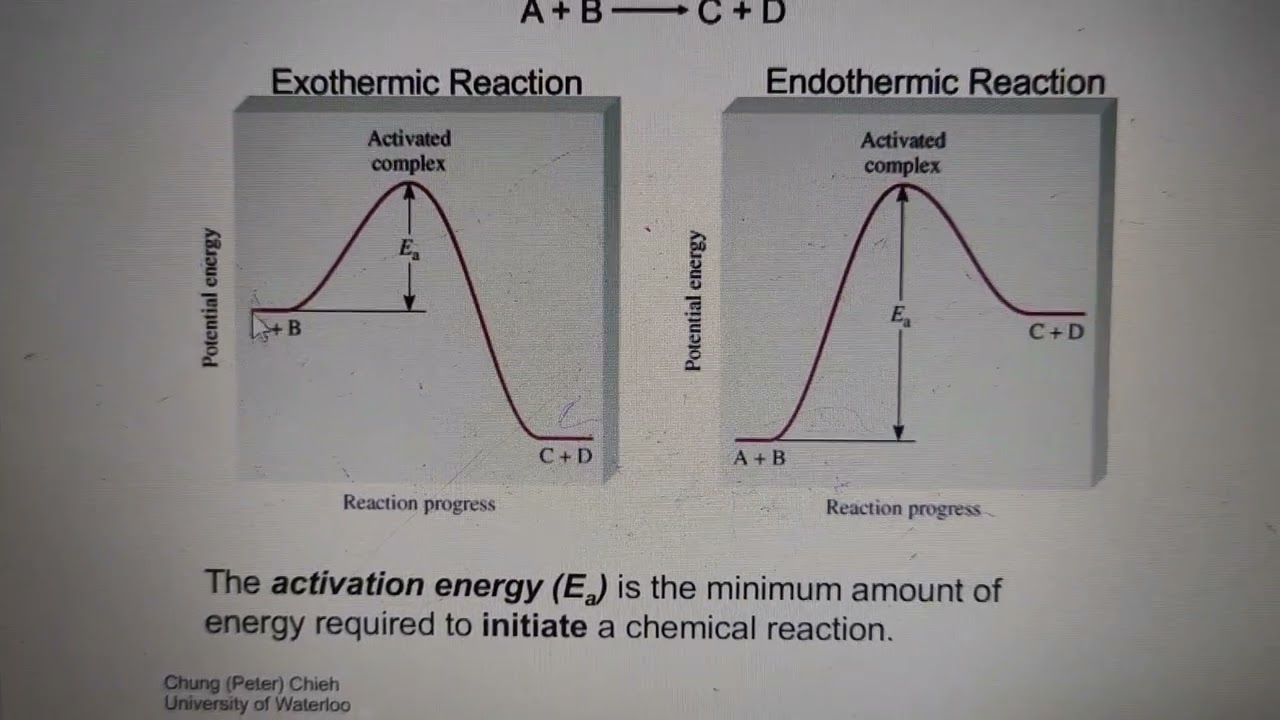 Final Revision of Kinetic chemistry