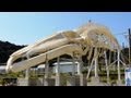全長26m「シロナガスクジラ」骨格標本レプリカ 道の駅 和田浦 WA・O!