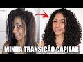 MINHA TRANSIÇÃO CAPILAR COM FOTOS | COMPLETO | Ludmila Reis