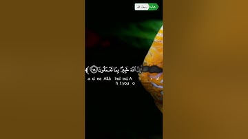 القرآن الكريم   تلاوة من سورة الحشر   القارئ زين العابدين الحديدي
