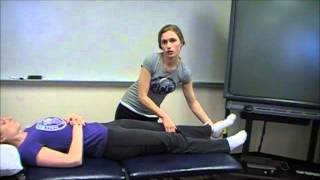 Myotome Screen for the Lower Extremity